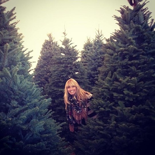 Best celebrity Christmas trees 2013